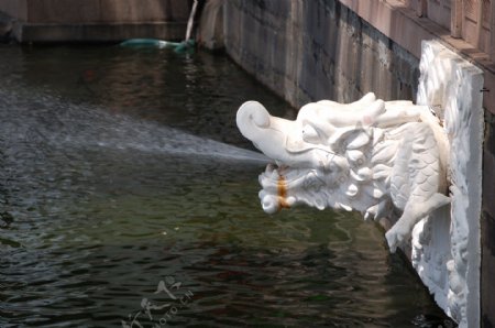 传统建筑水池中的喷水龙图片