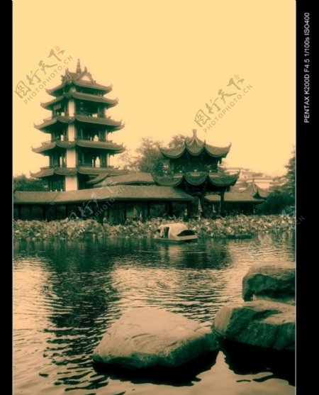 桂湖塔图片
