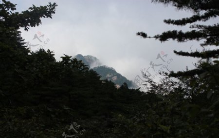 黄山风光图片