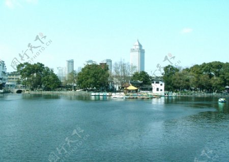 宁波月湖公园图片