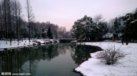 龙湖公园雪景图片