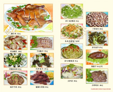 南北方精品菜系菜谱图片