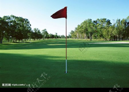 高尔夫球场上的红旗图片
