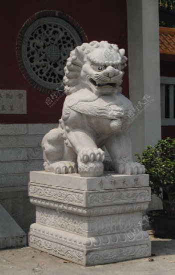 厦门梵天寺石狮图片