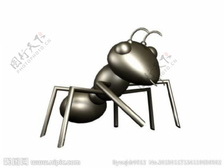 蚂蚁模型图片
