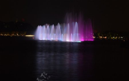 西湖喷泉图片