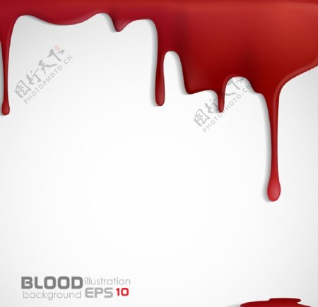 血液图片