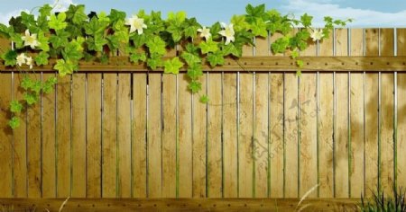 篱笆围栏图片