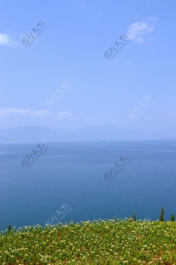 抚仙湖图片