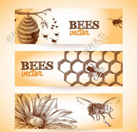 蜂蜜banner图片