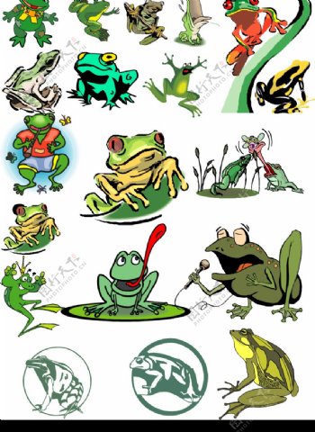 青蛙图图片