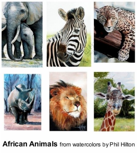 动物绘本图片