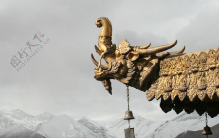 西藏寺庙屋檐龙头图片