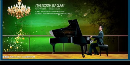钢琴之夜图片
