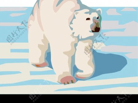 北极熊生物世界野生动物矢量图库图片