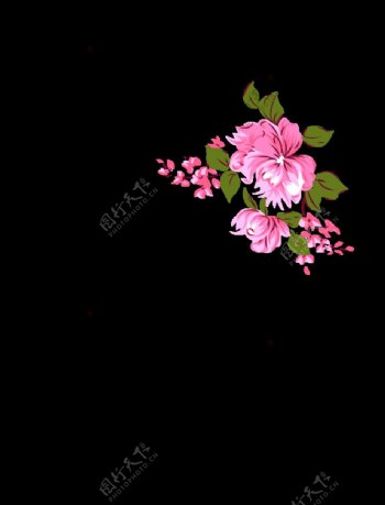 粉色花簇图片