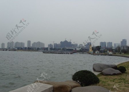 金鸡湖畔图片