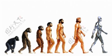 进化论图片