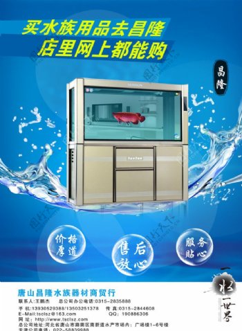 水族泡泡图片