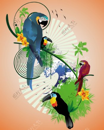 羽毛鲜艳的鹦鹉插画图片