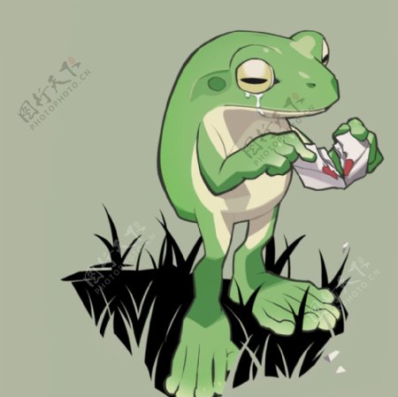 青蛙插图图片