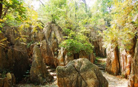 八公山石林图片