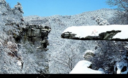 庐山天桥雪景图片