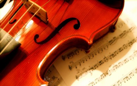 小提琴与乐谱图片