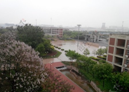 雨中校园图片