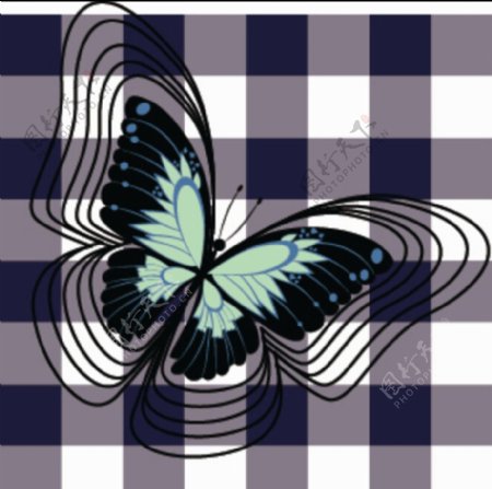 黑白格子蝴蝶放版线条图片