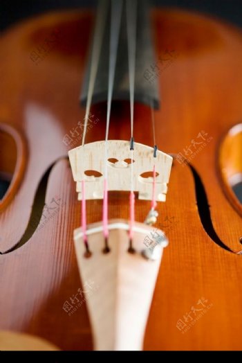 小提琴弦图片
