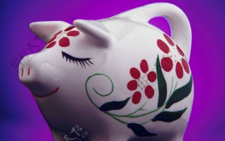 小猪彩绘存钱罐装饰紫色背景图片