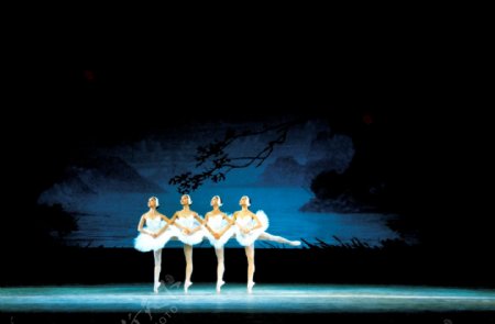 芭蕾舞天鹅湖4图片