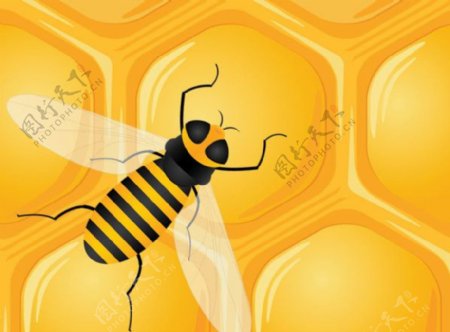 采蜂蜜的蜜蜂矢量素材图片