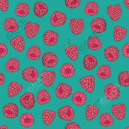 树莓水果图片