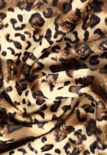 豹纹布料图片