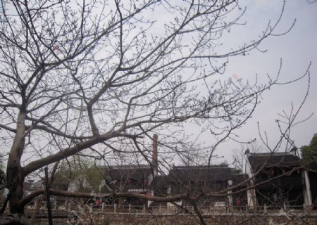 古镇建筑风景图片