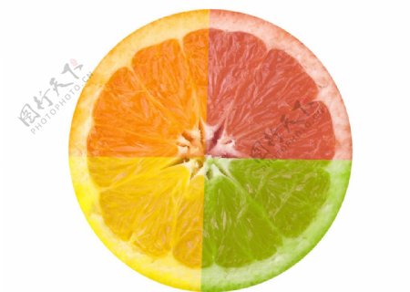 橙子柚子西柚水果水果图片素材