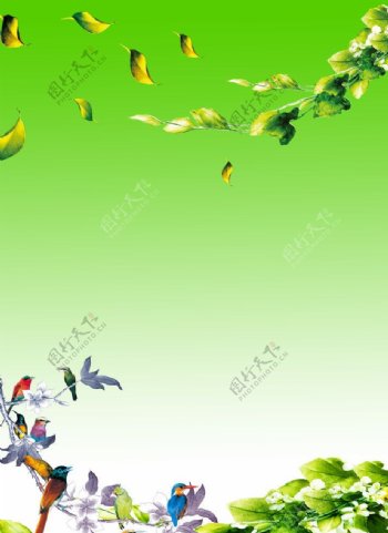 绿色花鸟背景图片