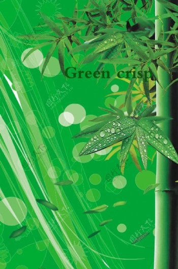 绿色翠竹背景图片