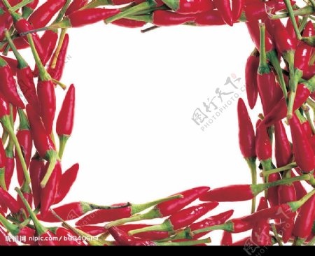 红辣椒像框图片
