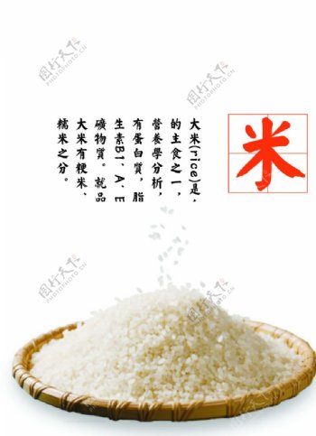 大米产品画册图片