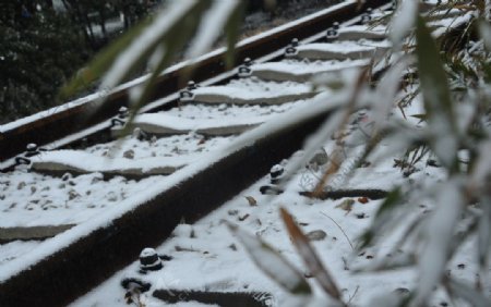 雪中火车道图片