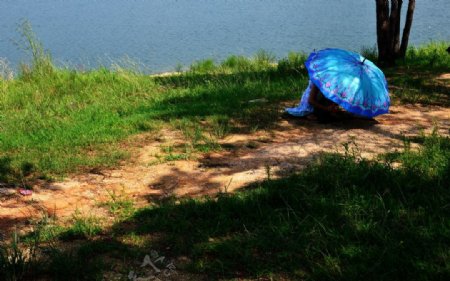 湖边的花伞图片