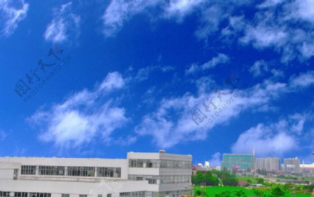 蓝天白云楼宇绿图片