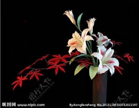 白花花盆图片