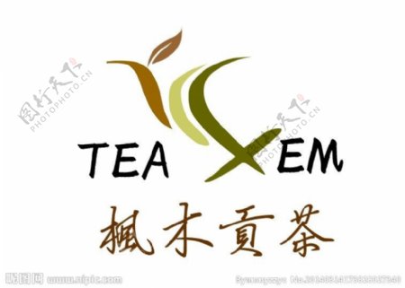 枫木贡茶图片