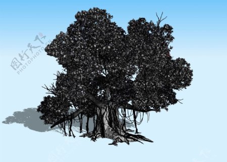 大榕树3D模型图片
