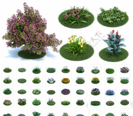 50个庭院植物max模型图片