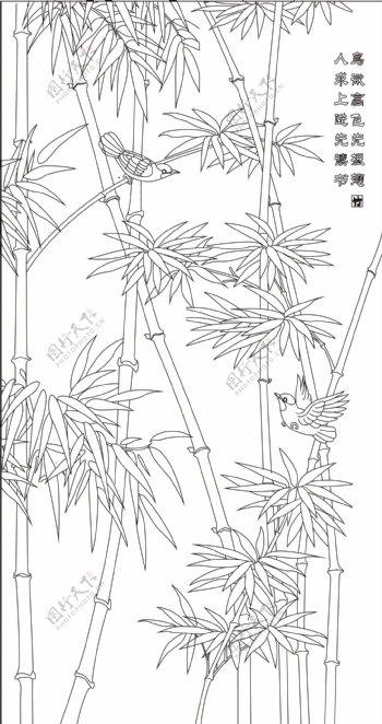 竹子鸟图片